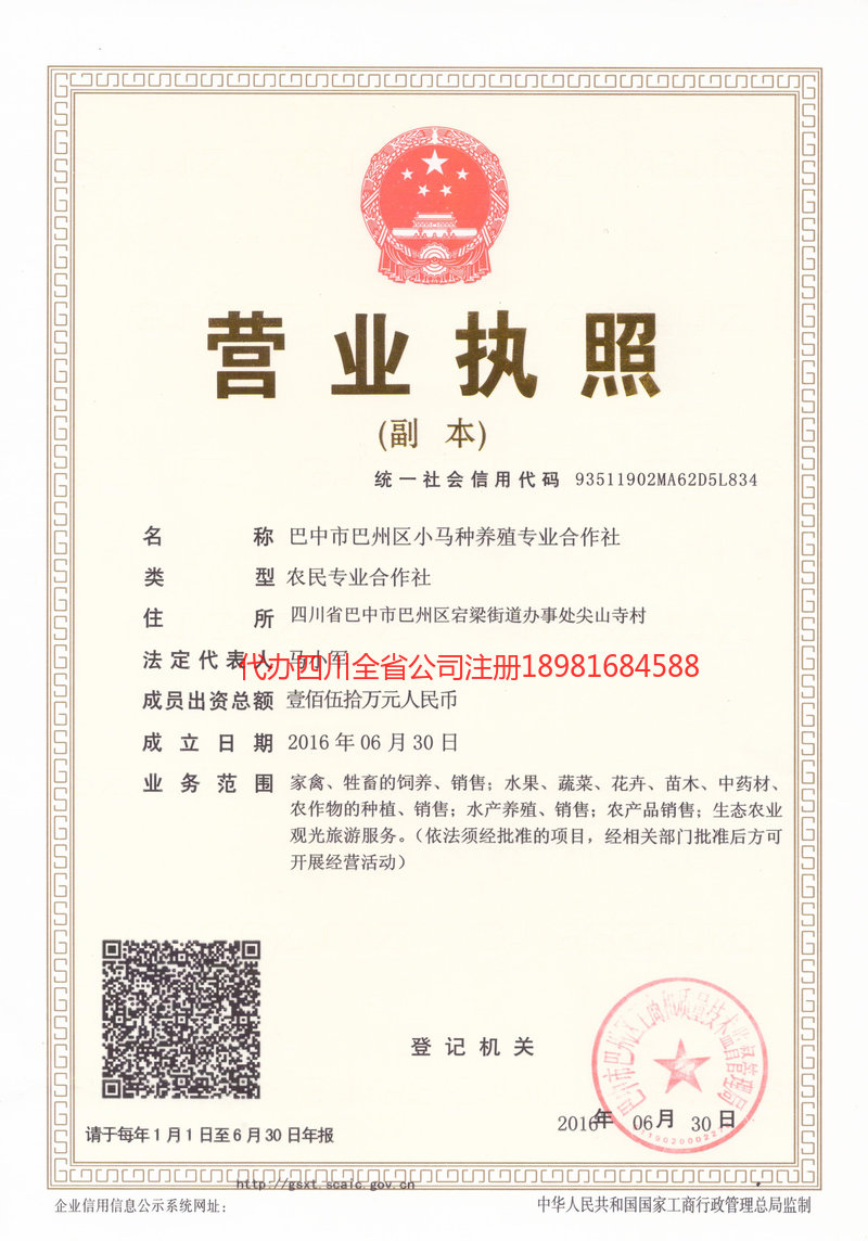 达川达川小马种养殖专业合作社